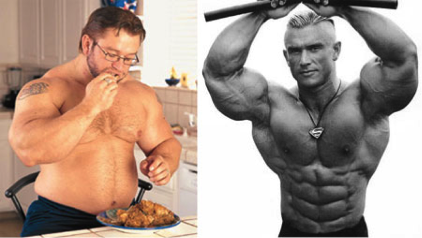 Bulking? Are you the dog chasing its own tail?